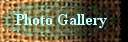 Photo Gallery